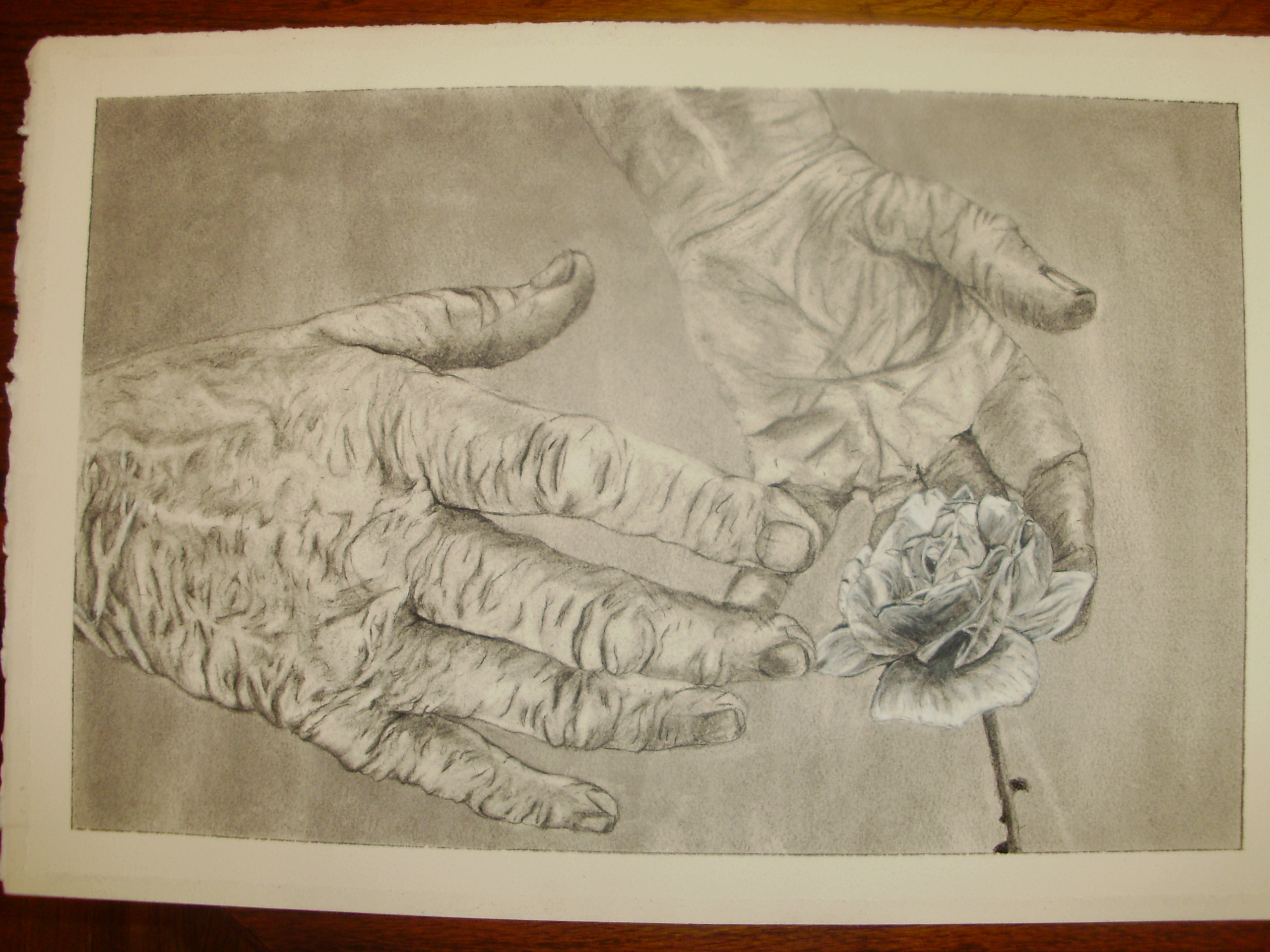 Charcoal drawing of wrinkled hands and a flower.